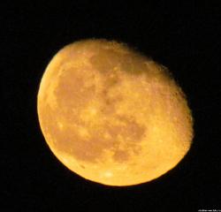 thumb_sw_1425932442__img_2031-.jpg