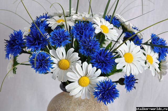 sw_1438232306__ff7f8e1fb8e533a7c9b016c57