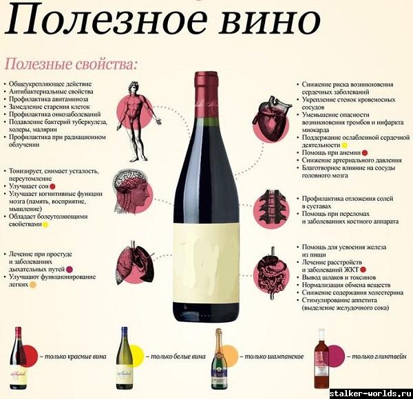 sw_1517391777__vino_polza.jpg