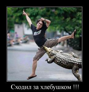 hotdem_ru_481345815994825391501.jpg